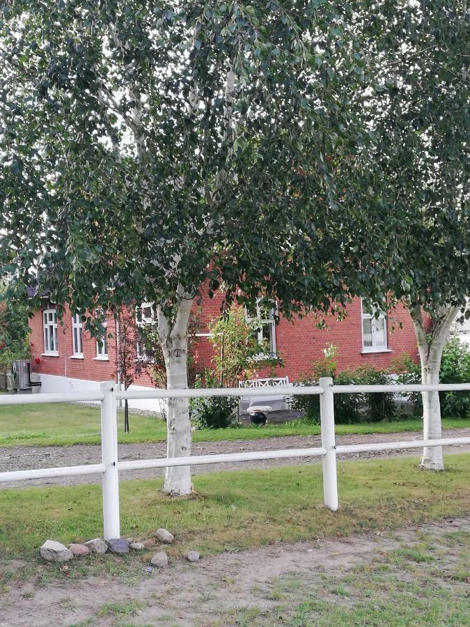 Ferienwohnung Tankefuld Living'S Horsefarm Svendborg Exterior foto
