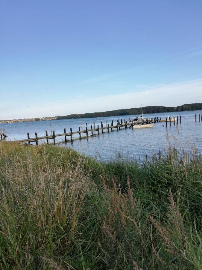 Ferienwohnung Tankefuld Living'S Horsefarm Svendborg Exterior foto