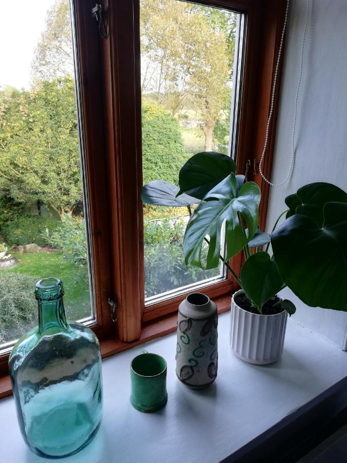 Ferienwohnung Tankefuld Living'S Horsefarm Svendborg Exterior foto
